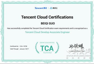 炫酷机电丨创新应用 智联未来 湖北软件开发的崛起与融合之路